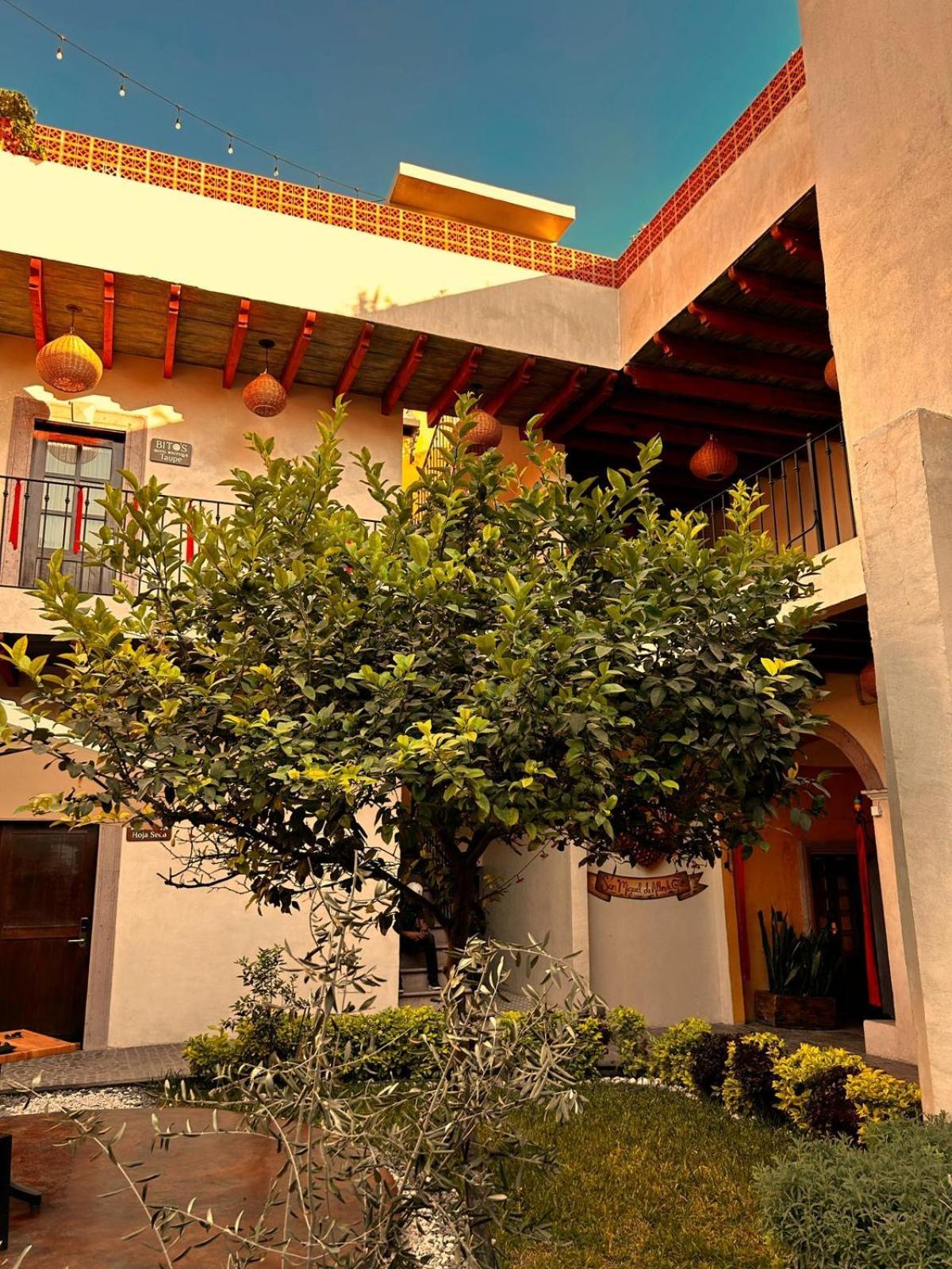 Bito'S Hotel Boutique San Miguel de Allende Dış mekan fotoğraf